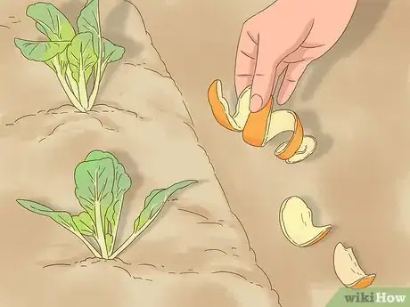 Image titled Keep Dogs Out of Gardens Step 6