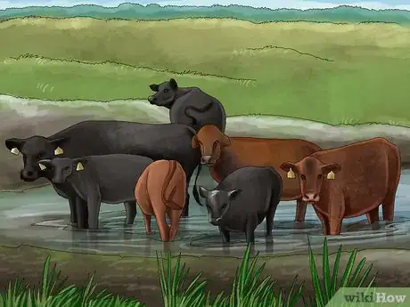 Image titled Manage Pastures Using Rotational or Management Intensive Grazing Step 15