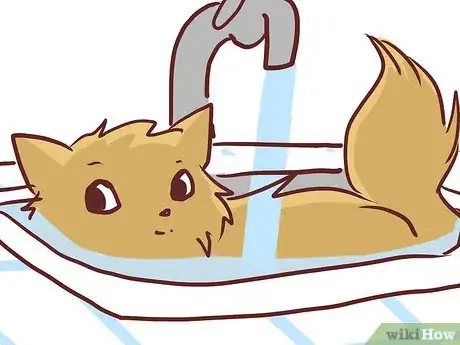 Image titled Bathe a British Shorthair Step 11