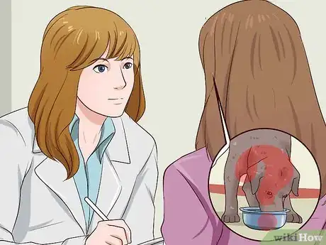 Image titled Diagnose and Treat Your Dog's Itchy Skin Problems Step 22