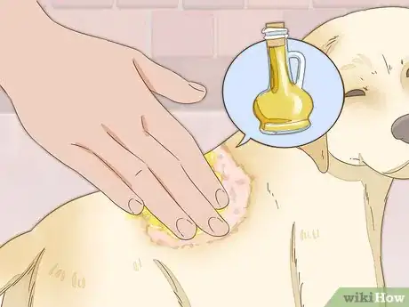 Image titled Treat Seasonal Allergies in Dogs (Home Remedies) Step 3