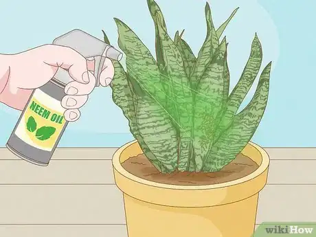 Image titled Get Rid of Thrips Indoors Step 6