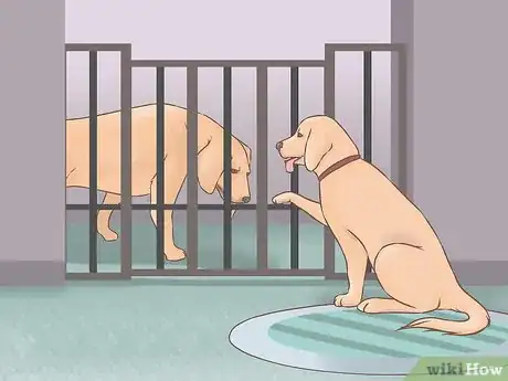 Image titled Acclimate Two Dogs Step 9