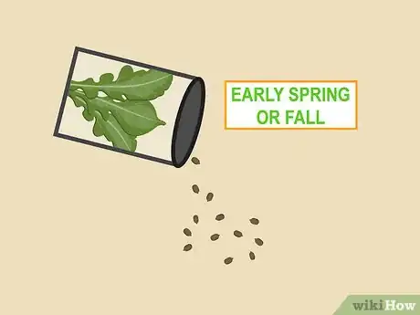 Image titled Plant Arugula Step 2