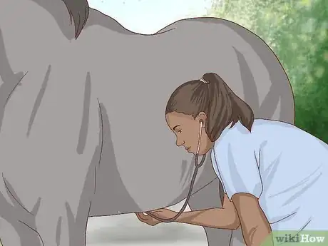 Image titled Walk a Colicking Horse Step 5