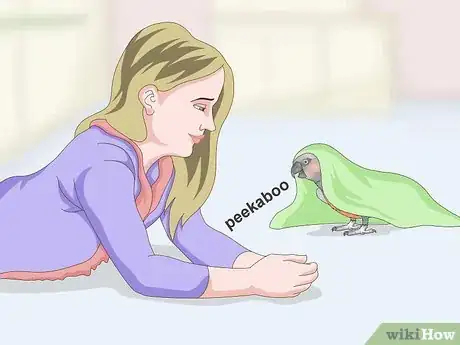 Image titled Teach a Red Bellied Parrot to Speak Step 12