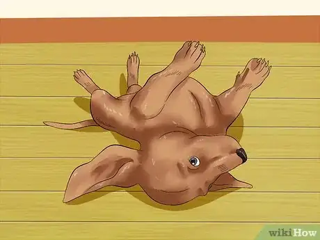 Image titled Love Your Puppy Step 15