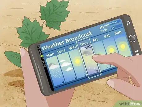 Image titled Grow Loofah Sponges Step 9