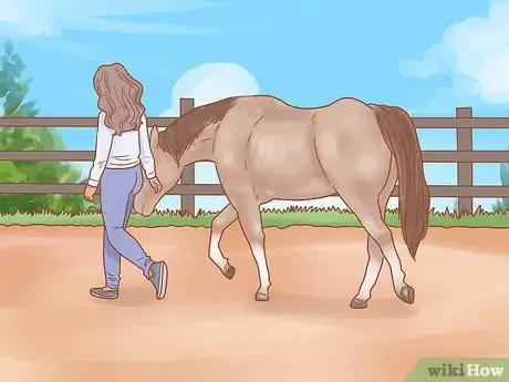 Image titled Get a Horse Under Control Step 16