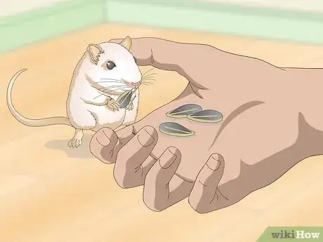 Image titled Spoil Your Gerbils Step 4