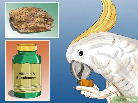 Image titled Treat Bumblefoot in Cockatoos Step 10