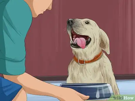 Image titled Return a Stray Dog to Its Owner Step 3