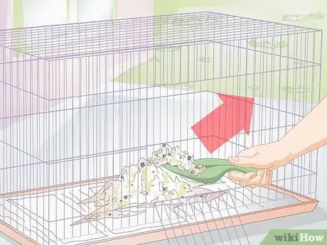 Image titled Clean Out a Guinea Pig's Hutch Step 4