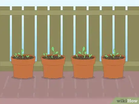 Image titled Propagate Azaleas Step 44Bullet1