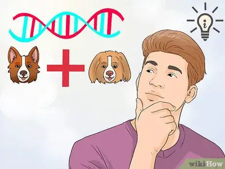 Image titled Avoid Crossbreeding As a Dog Breeder Step 8