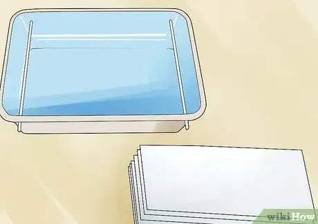 Image titled Germinate Beans on Moist Kitchen Paper Step 3