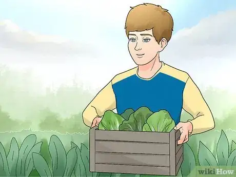 Image titled Travel Without Spending Money Step 12