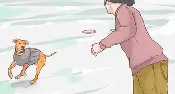 Help Your Dog Move in the Snow