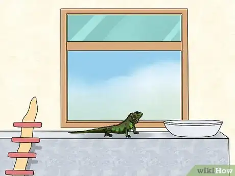 Image titled Let Your Green Iguana Free Roam Step 2