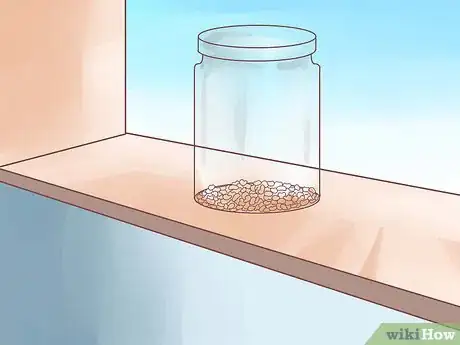 Image titled Grow Alfalfa Sprouts Step 12