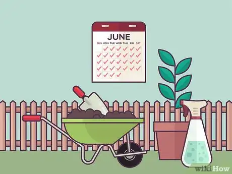 Image titled Grow Tea Step 12