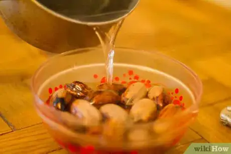 Image titled Crack Pecan Nuts Step 1