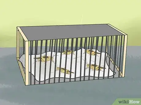 Image titled Feed an Anole Green Lizard Step 4