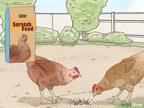 Image titled Promote Egg Laying in Hens Step 3