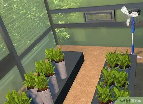 Image titled Maintain a Greenhouse Step 9Bullet1