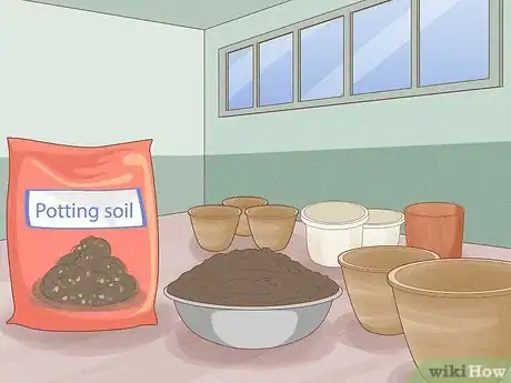 Image titled Have a Sustainable Garden in Saudi Arabia Step 11