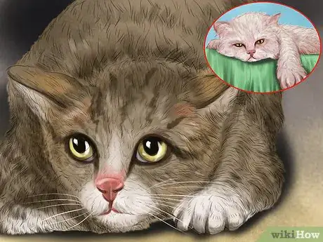 Image titled Understand Your Cat's Behavior Step 10