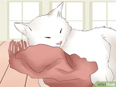 Image titled Travel Long Distance With a Cat Step 8