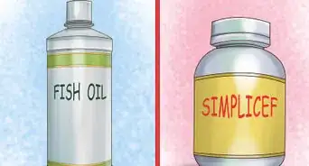 Diagnose Heart Conditions in Boxers