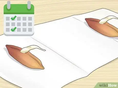 Image titled Plant Date Seeds Step 7