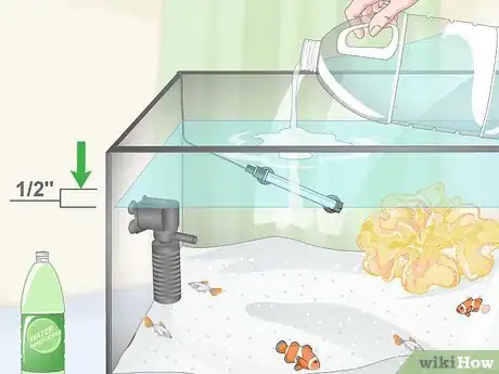 Image titled Reduce Saltwater Reef Aquarium Maintenance Step 11