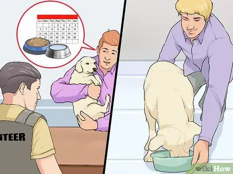 Image titled Adopt a Dog from a Humane Society or Animal Shelter Step 15