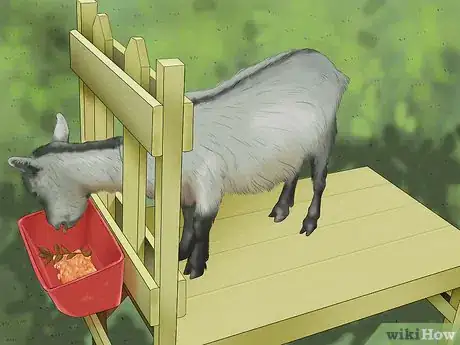 Image titled Milk a Goat by Hand Step 3