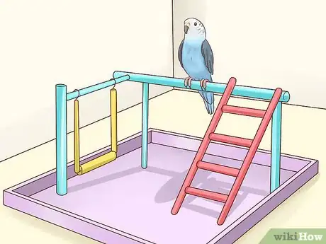 Image titled Keep a Parakeet Safe Out of Its Cage Step 8