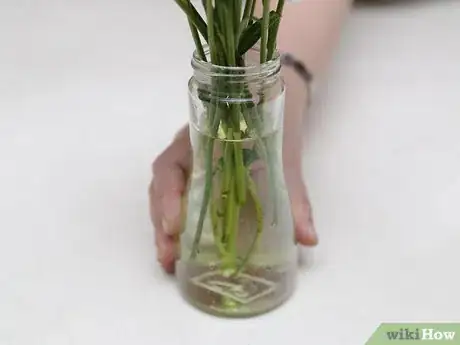 Image titled Make Flower Food Step 6