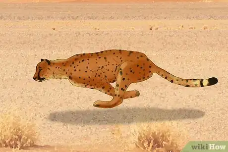 Image titled Photograph Animals Step 15