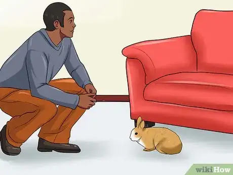 Image titled Win a Rabbit's Trust Step 12