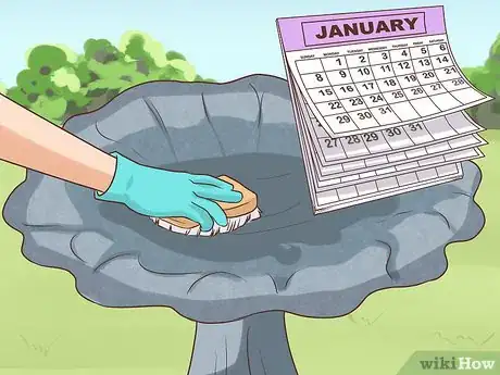 Image titled Remove Sources of Standing Water Step 11