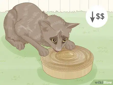 Image titled Choose a Cat Scratching Tree Step 3