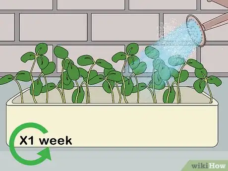 Image titled Harvest American Cress Step 5