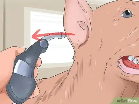 Image titled Check a Dog for a Fever Step 12