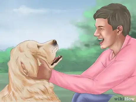 Image titled Play with Your Dog Step 5