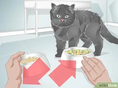 Image titled Put Your Cat on a Limited Ingredient Diet Step 9