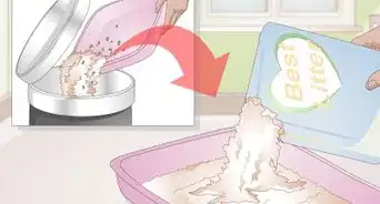 Use an Onion to Deodorize a Cat Litter Box