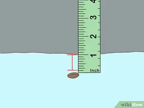 Image titled Plant Turing Sunflowers Step 8