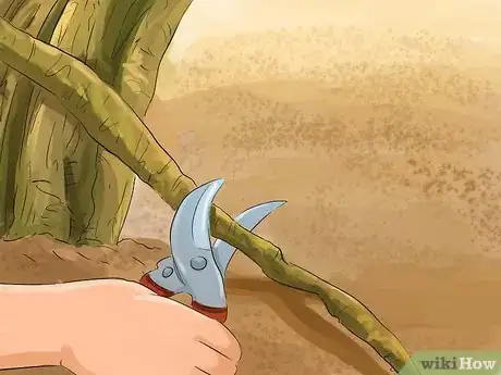 Image titled Prune a Redbud Tree Step 14